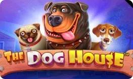Trino – The Dog House